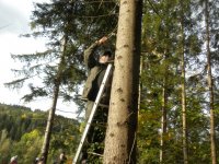Nistkästen für Fledermäuse